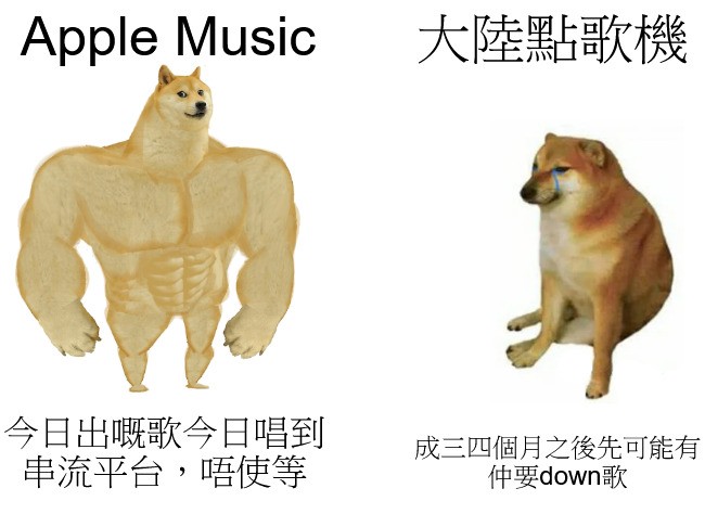 dog meme